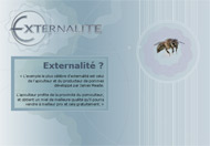 Презентация консалтингового сервися "Externalite"